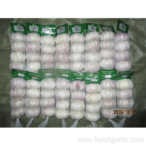 Normal White Garlic Hot Sale